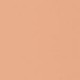 Blush Compacto